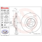 Brembo | Bremsscheibe | 09.8841.31