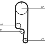 ContiTech | Wasserpumpe + Zahnriemensatz | CT1008WP2