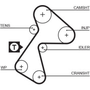 Gates | Zahnriemen | 5484XS