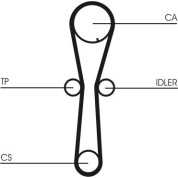 ContiTech | Zahnriemen | CT954