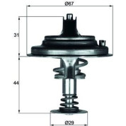 Mahle | Thermostat, Kühlmittel | TX 26 80D