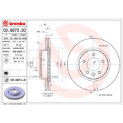 Brembo | Bremsscheibe | 09.8873.31