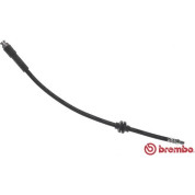 Brembo | Bremsschlauch | T 23 187