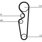 ContiTech | Zahnriemen | CT729