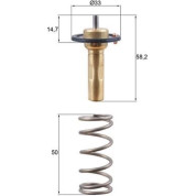 Mahle | Thermostat, Kühlmittel | TX 265 89D