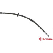 Brembo | Bremsschlauch | T 24 117