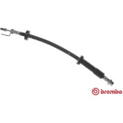 Brembo | Bremsschlauch | T 24 134