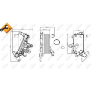 NRF | Ölkühler, Automatikgetriebe | 31357