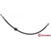 Brembo | Bremsschlauch | T 06 020