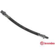 Brembo | Bremsschlauch | T 85 118