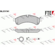 FTE | Bremsbelagsatz, Scheibenbremse | 9500003