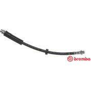 Brembo | Bremsschlauch | T 85 117