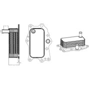 NRF | Ölkühler, Motoröl | 31818