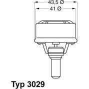 Wahler | Thermostat, Kühlmittel | 3029.89