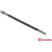 Brembo | Bremsschlauch | T 06 002