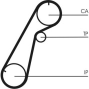 ContiTech | Zahnriemen | CT1020