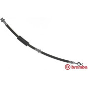 Brembo | Bremsschlauch | T 49 050