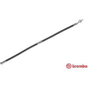 Brembo | Bremsschlauch | T 49 049