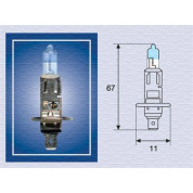 Magneti Marelli | Glühlampe | 002587100000