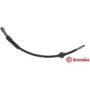 Brembo | Bremsschlauch | T 23 186