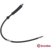 Brembo | Bremsschlauch | T 06 050