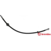 Brembo | Bremsschlauch | T 23 185