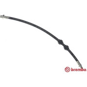 Brembo | Bremsschlauch | T 06 011