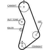 Gates | Zahnriemen | 5491XS