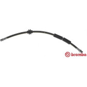 Brembo | Bremsschlauch | T 24 127