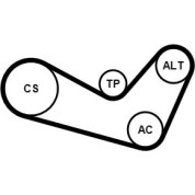 ContiTech | Keilrippenriemensatz | 6PK1080K1