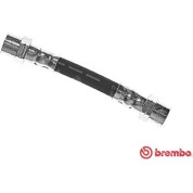 Brembo | Bremsschlauch | T 06 033