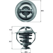 Mahle | Thermostat, Kühlmittel | TX 117 95D