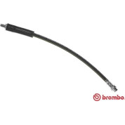 Brembo | Bremsschlauch | T 06 023