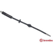 Brembo | Bremsschlauch | T 23 209