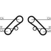 ContiTech | Zahnriemen | CT1074