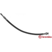 Brembo | Bremsschlauch | T 85 089