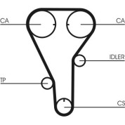 ContiTech | Zahnriemen | CT787