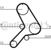 ContiTech | Zahnriemen | CT613