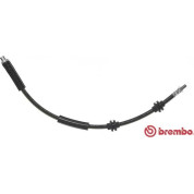 Brembo | Bremsschlauch | T 06 030