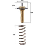 Mahle | Thermostat, Kühlmittel | TX 311 90D