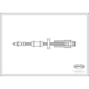 Corteco | Bremsschlauch | 19018154