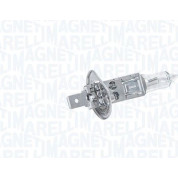 Magneti Marelli | Glühlampe | 002551100000