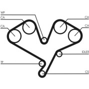 ContiTech | Zahnriemen | CT1113
