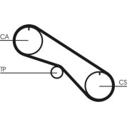 ContiTech | Zahnriemen | CT1082