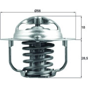 Mahle | Thermostat, Kühlmittel | TX 208 88D