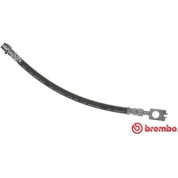 Brembo | Bremsschlauch | T 85 116