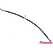 Brembo | Bremsschlauch | T 11 013