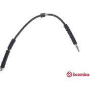 Brembo | Bremsschlauch | T 06 041