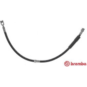 Brembo | Bremsschlauch | T 85 128