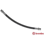 Brembo | Bremsschlauch | T 11 012